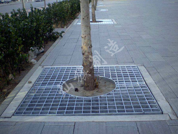 青海樹池蓋板圖片3